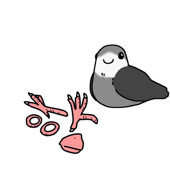 くちばしのtwitterイラスト検索結果 古い順