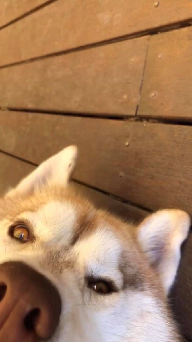 tap for a surprise ~!