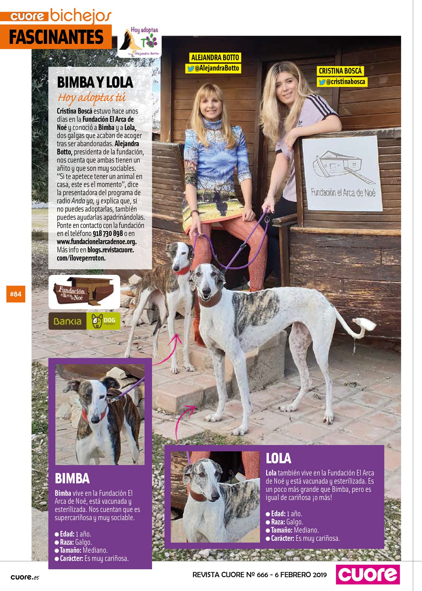 Fundación el Arca de Noé on Twitter: "Nos encanta la gente comprometida como tú 🌺@cristinabosca #visitasespeciales para galgas como #bimba y #lola muy #especiales💝 #abandonadas en el mes del #galgo quieres