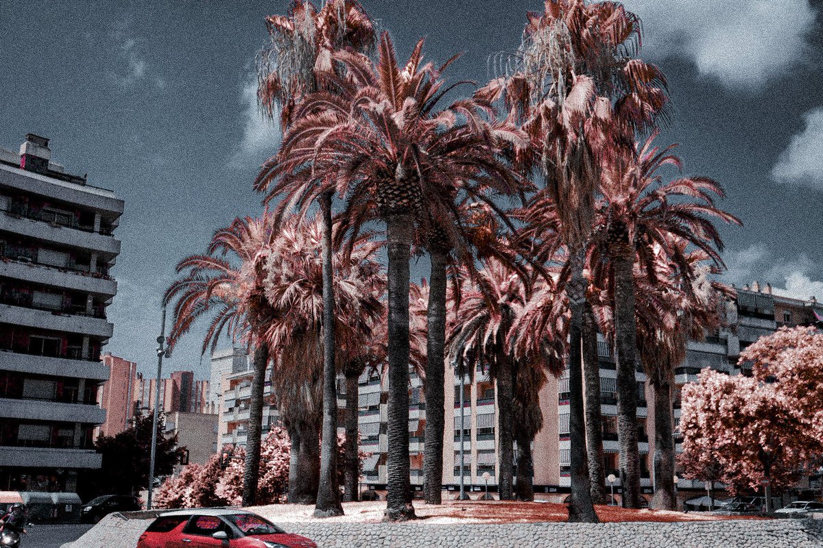 frhx16's tweet photo. Low opacity #pink #flamingo #riverside2099 #owsla #owslagoods #jas #jasdavis #edm #Street #streetwear #streetphotography #urban #urbanfantasy #urbanoutfitters #urbanart #urbanphotography #urbe #urbex https://t.co/rdx1stpA1Z