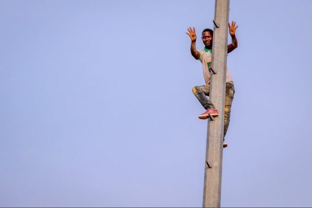 Omoobaloye's tweet photo. The sai Baba bug from the original star boy and these little star boys on the poles and the trees. Cc: @qualiserve2003 , @abiddemi . #IstandwithBuhari, #ISWB https://t.co/LdS4byNTEk