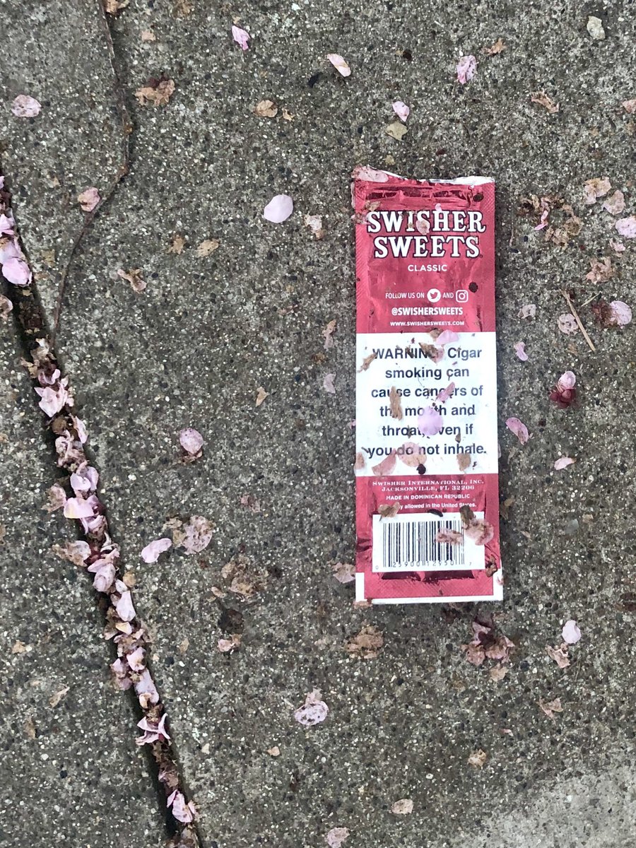 carrie farrell tweet media