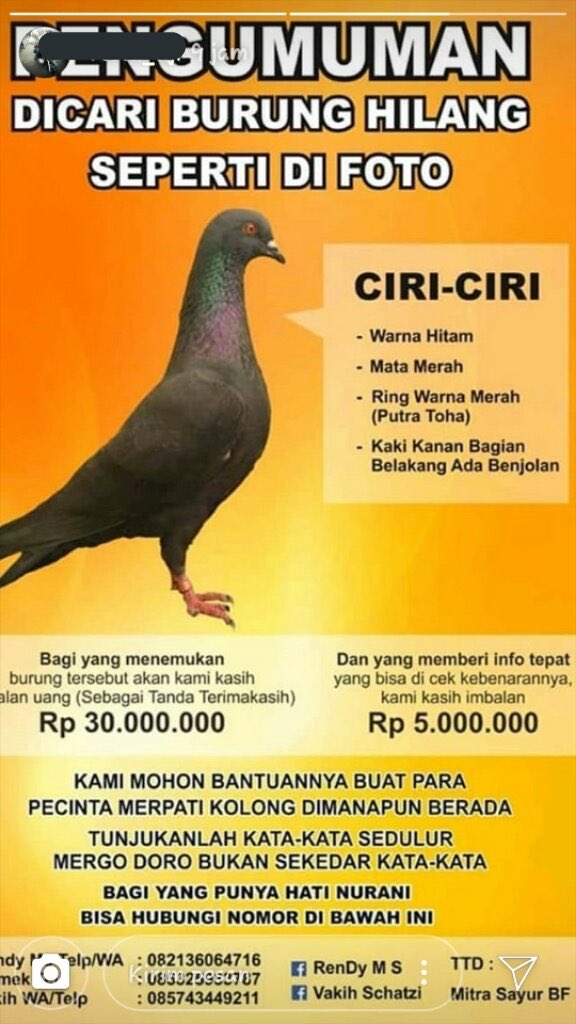 Lawuhlarang Hashtag On Twitter