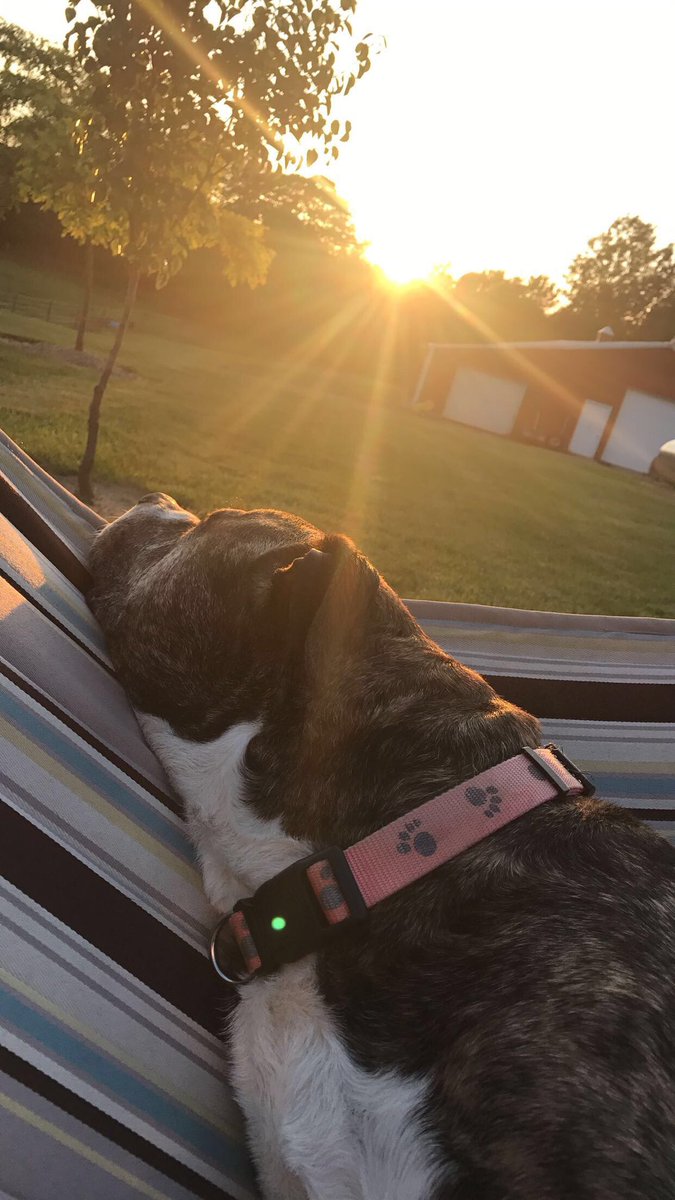 sydney robinson tweet media