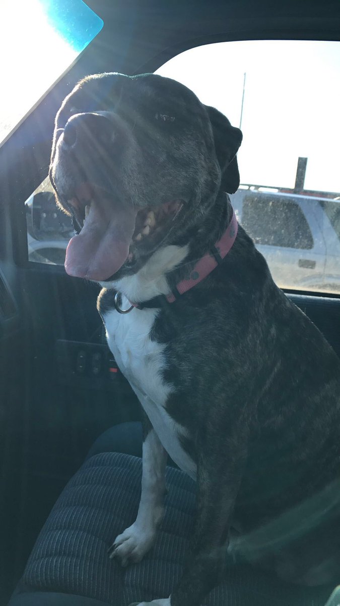 sydney robinson tweet media