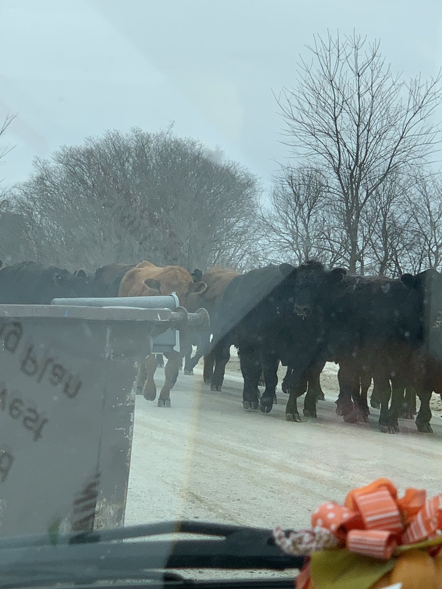 Tried to take a short cut... ran into a road block.