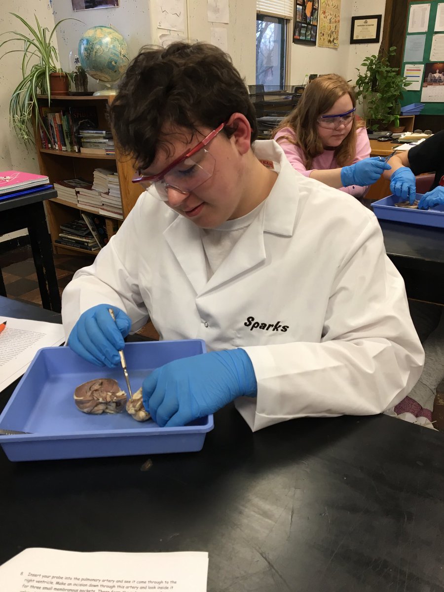JWilkinsonBio's tweet photo. This student really took his sheep heart dissection seriously, wearing his own monogrammed lab coat! Yessss! #rollsc https://t.co/2OInNgy5PB