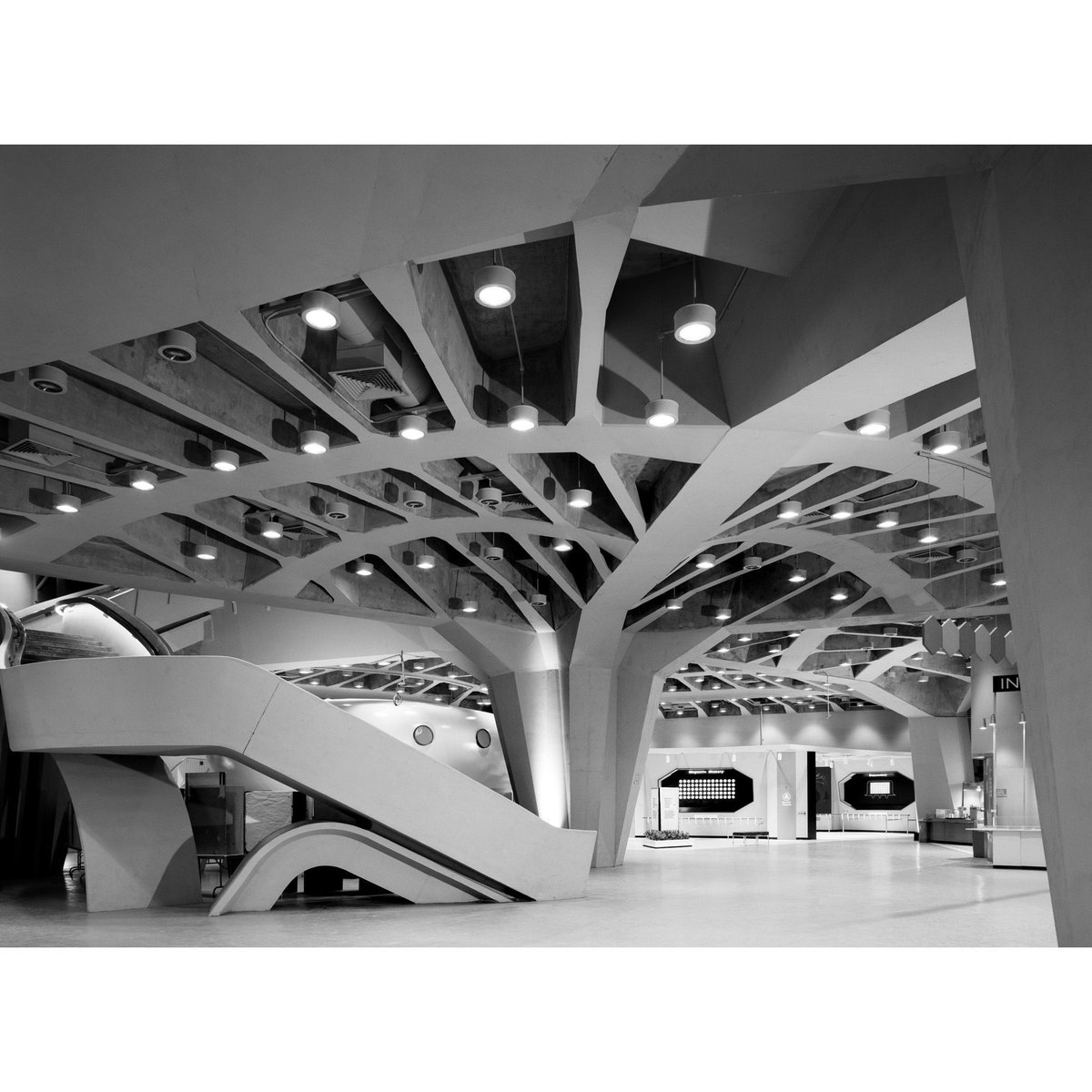 EstoPhoto's tweet photo. Ezra Stoller has photographed Modern architecture throughout each borough of NYC. In Queens, the New York Hall of Science designed by Harrison and Abramovitz, photographed in 1966.
@estophoto
@nysci
#newyorkhallofscience
#estophoto
#stollerized
#archphotography https://t.co/jo1jEXUcRC