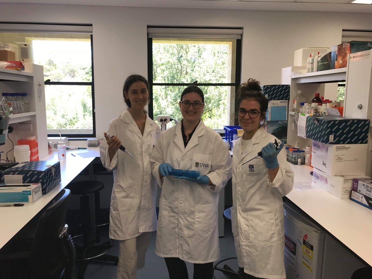 UWAMicroBlitz's tweet photo. Barry Marshall MicroBlitz interns, all frocked up and on the job in the MicroBlitz Lab! https://t.co/OScinEx4XA