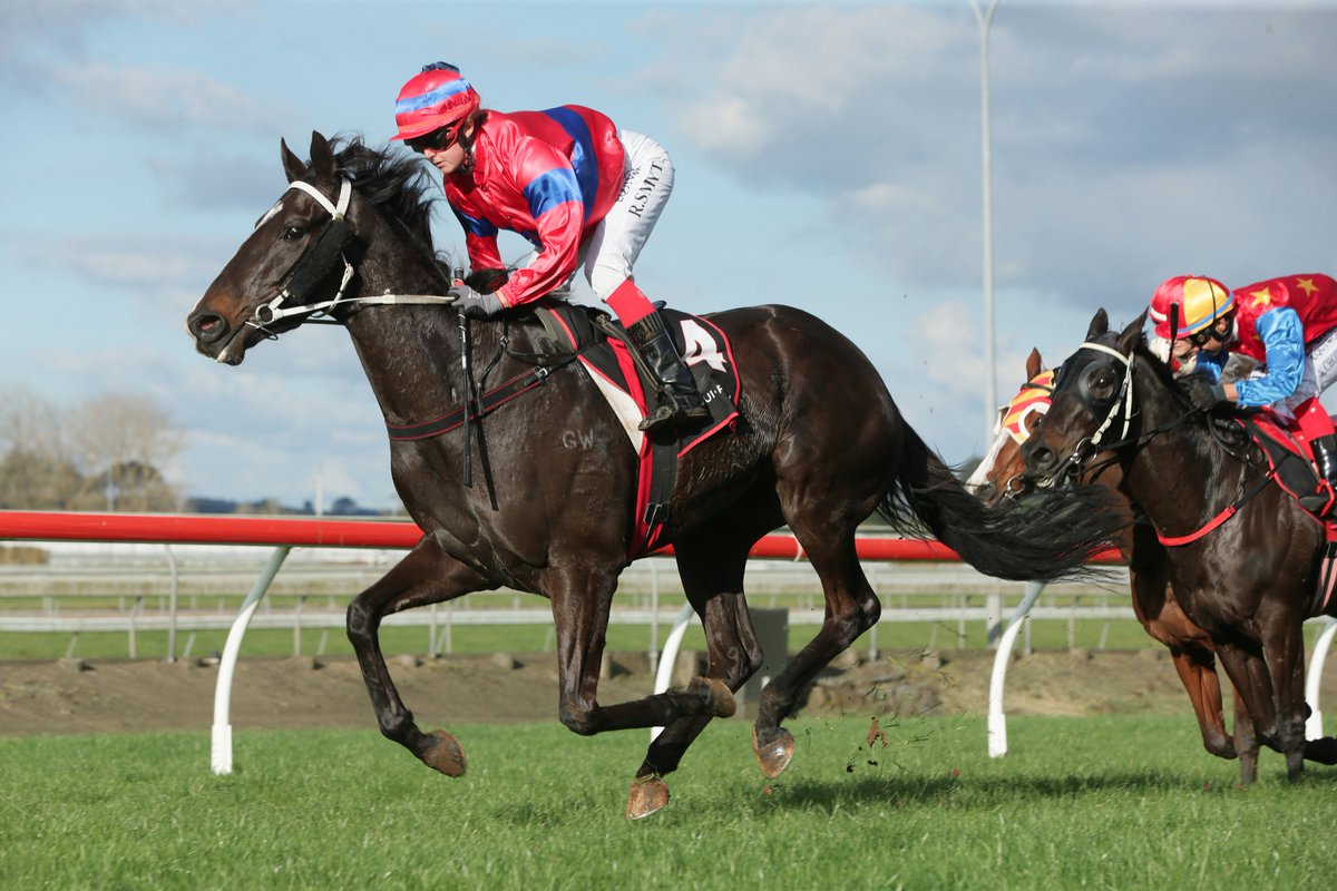 nzracingnews's tweet photo. Trainer confident #VerryFlash will put in a good performance in the Rating 82 Risk Management Group Premier (2100m) at @TeRapaRacing on Saturday as he heads towards the Gr.1 @BarfootThompson Auckland Cup (3200m).
https://t.co/XxPmjWTMCa https://t.co/AEK2NmSJLM