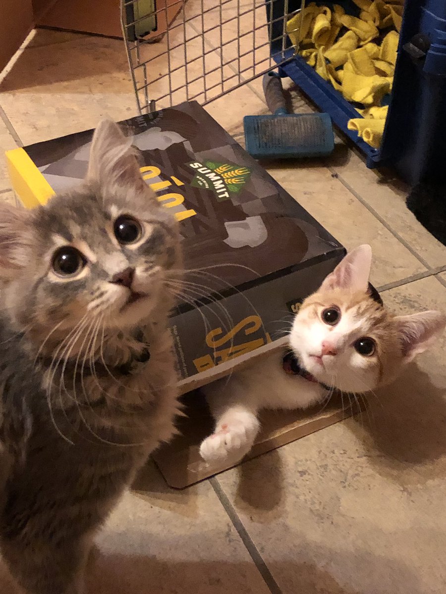 Hey <a href="/summitbeer/">Summit Brewing</a> Linus and Lucy wanna know where all the Saga went?