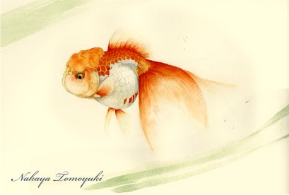 「#TLに魚が横切る
ギョギョギョっ 」|ナカヤトモユキ/水彩作家のイラスト