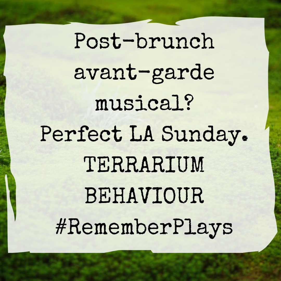 BespokePlays's tweet photo. YES, LOS ANGELES: We know your perfect Sunday.
We ARE your perfect Sunday!
TERRARIUM BEHAVIOUR, 2pm @thepico_la (..also Tuesday evening 8pm)
Ticket link in bio
#BespokePlays #RememberPlays #new #musical #WorkinProgress #postbrunch #TheatreNerds #TERRARIUMBEHAVIOUR https://t.co/rgVwZp0B6C