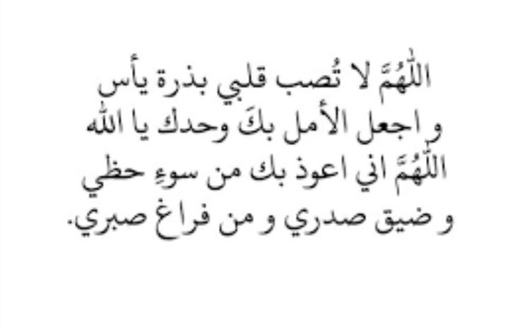 _Resalah's tweet photo. الأرزاق مقسومة ، والأقدار محسومة ، وأحوال الدنيا لاتستحق الهموم 
فقط توكل على الله " وعِش مطمئنًا "
فَما بين غمضة عين وإنتباهها يُغير الله
��ن حالٍ الى حال ❤

@BetaqaDaawia 
@islamic_pic 
@R_t_d3wa 
@tmam_20121 https://t.co/vqH9JscWKW