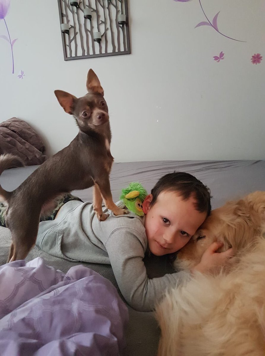 Lora Katchmar tweet media