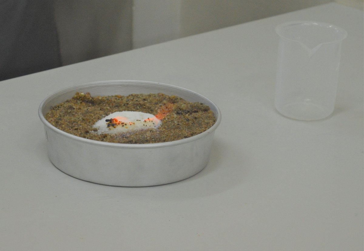 colombo goldfish care