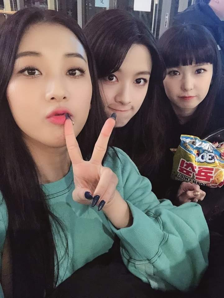 OrchidC_twt's tweet image. 〚 #SUZZI  〛♡
Logo mais teremos o nosso próximo comeback, estamos muito ansiosas para mostrar tudo o que estamos planejando 👊