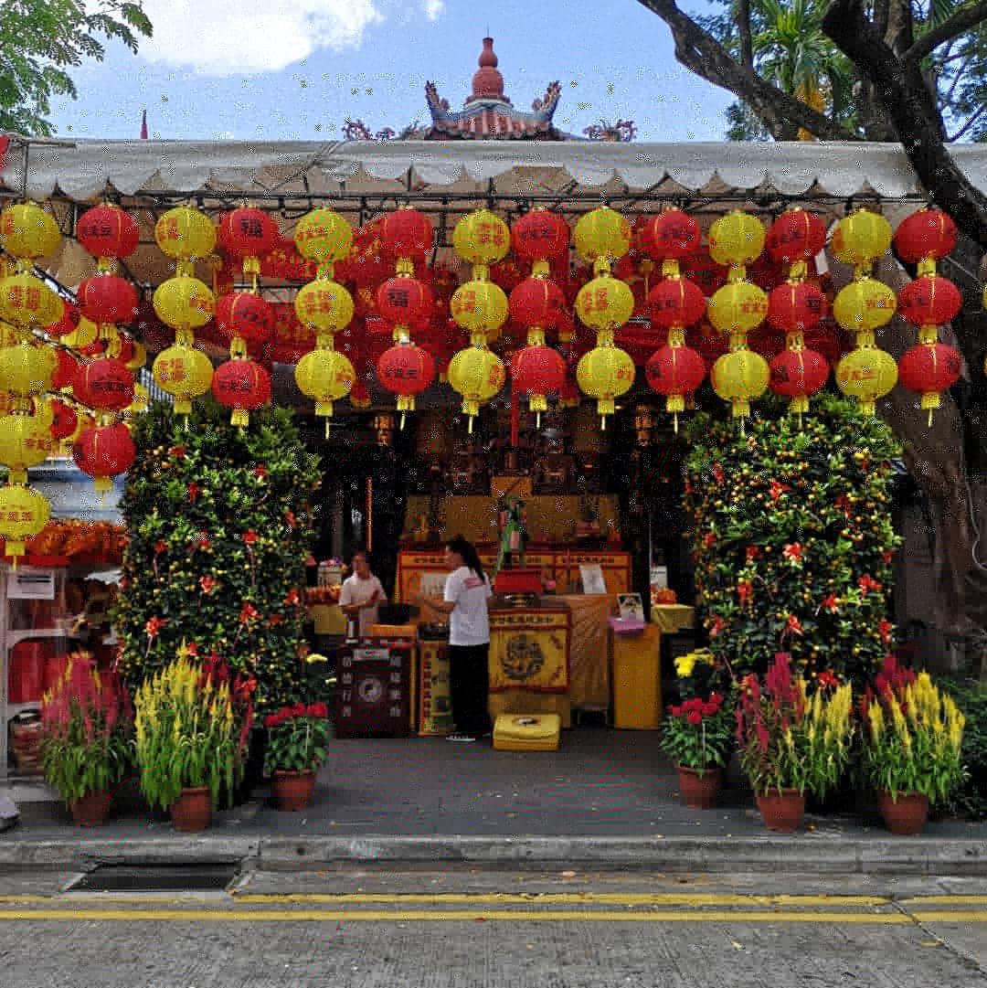 Gong xi fa cai everyone! Welcome to the Chinese lunar new year, the year of the pig 🐖! May the year bring you all health, wealth and happiness! #LunarNewYear #ChineseNewYear #positivity