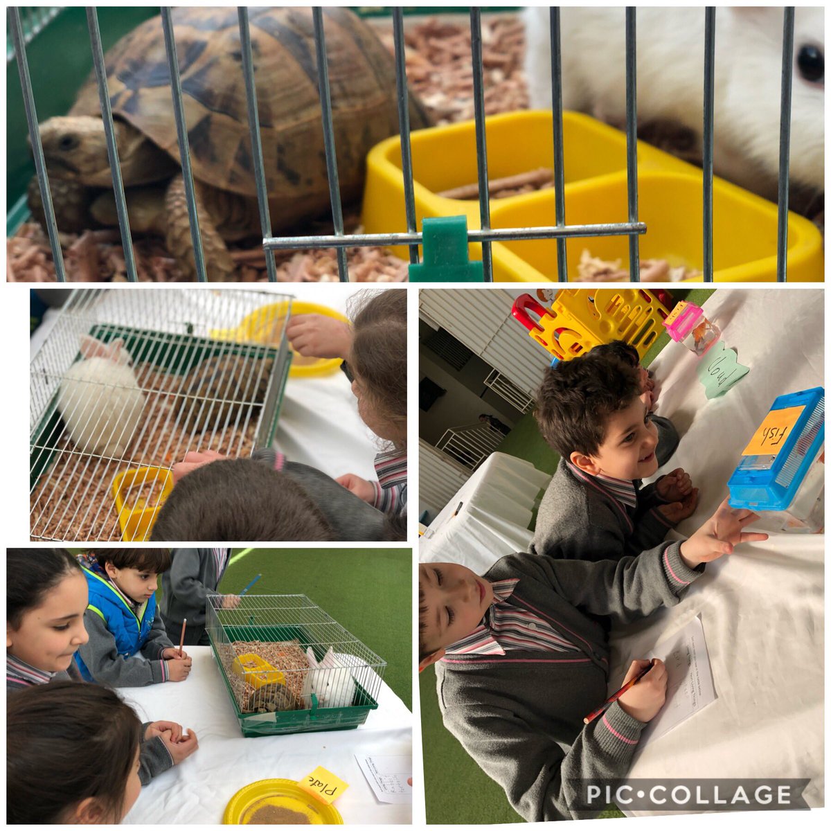 Learners minds were not built to sit and be taught. They were built to #explore #discover #inquire #play #learn #scienceisfun #scientists #living_things <a href="/AminaMaatouk4/">Amina Maatouk</a> <a href="/MakAishaSchool/">MakAishaSchool</a>