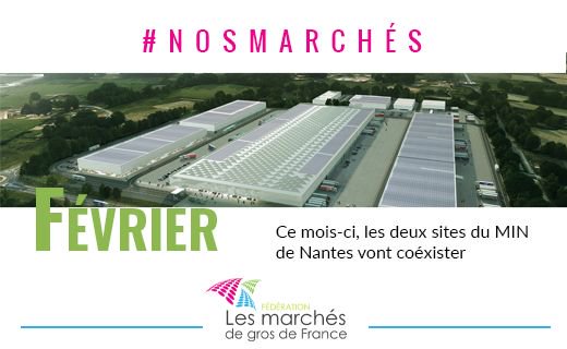 #NosMarchés 🍎🍐
En Février, pour la première fois de son histoire, le <a href="/MinNantes/">MIN Nantes Métropole</a> ouvrira ses deux sites sur une durée de 4 semaines !