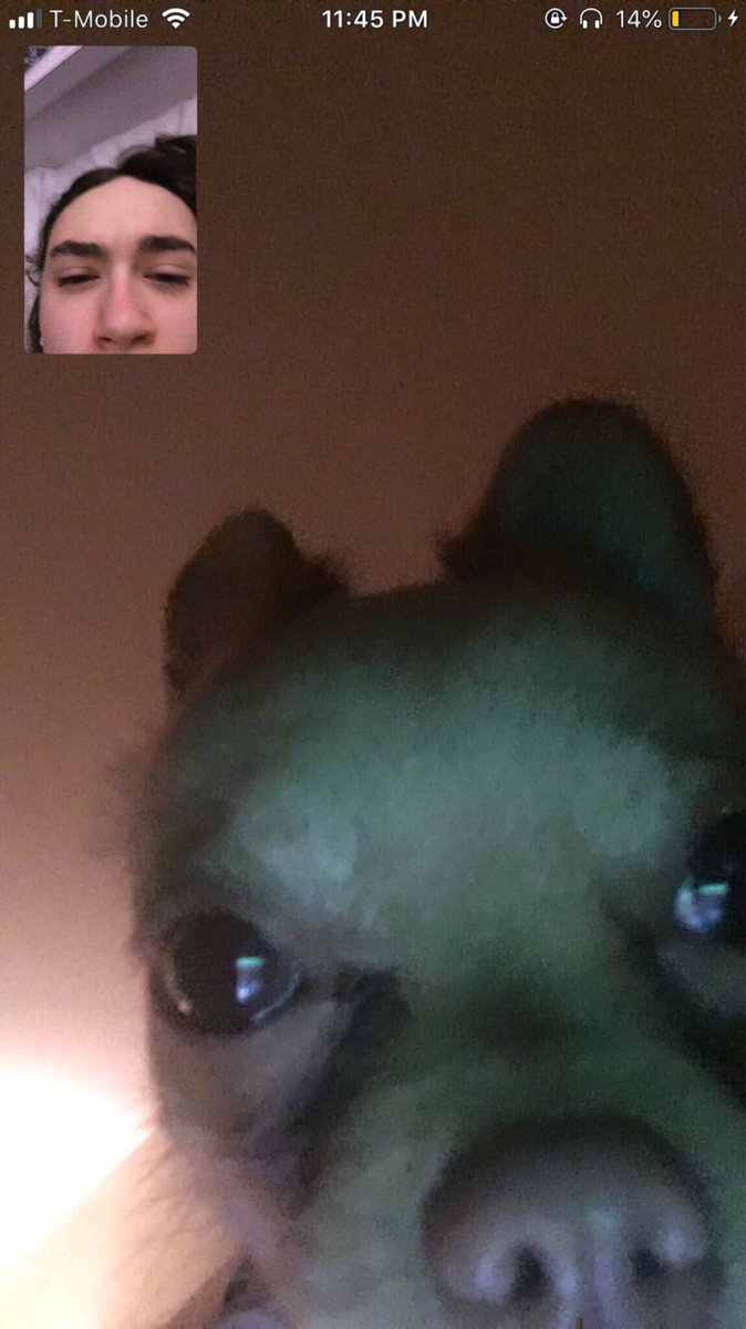 s4m002's tweet photo. my girlfriend fell asleep and me n the dog jus been talkin... https://t.co/ZDqsx69syb