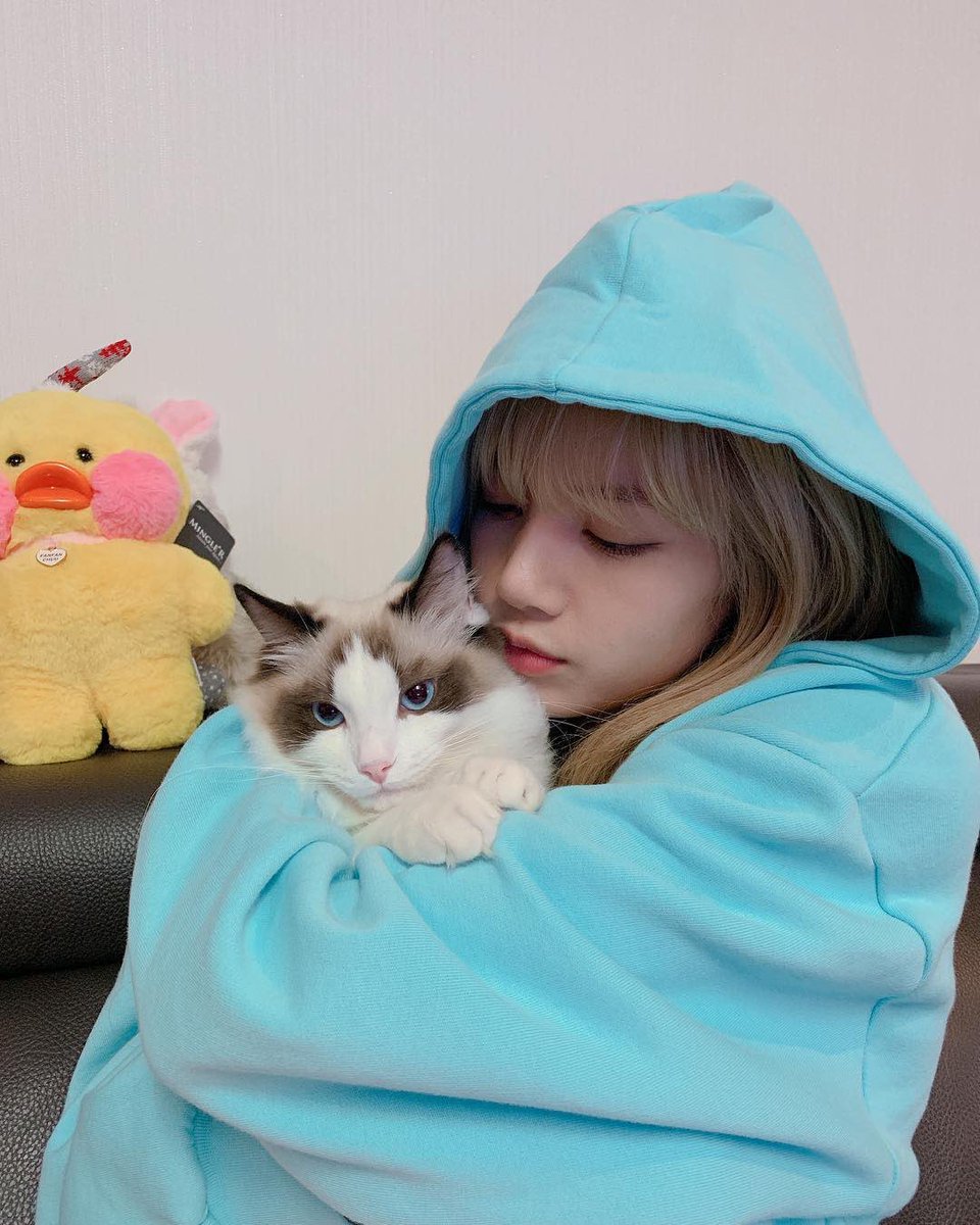 LISARAMBO_'s tweet photo. #LISA hugging the adorable #LUCA! 😍
https://t.co/scLC43pdZP https://t.co/SiXGPOIjuN