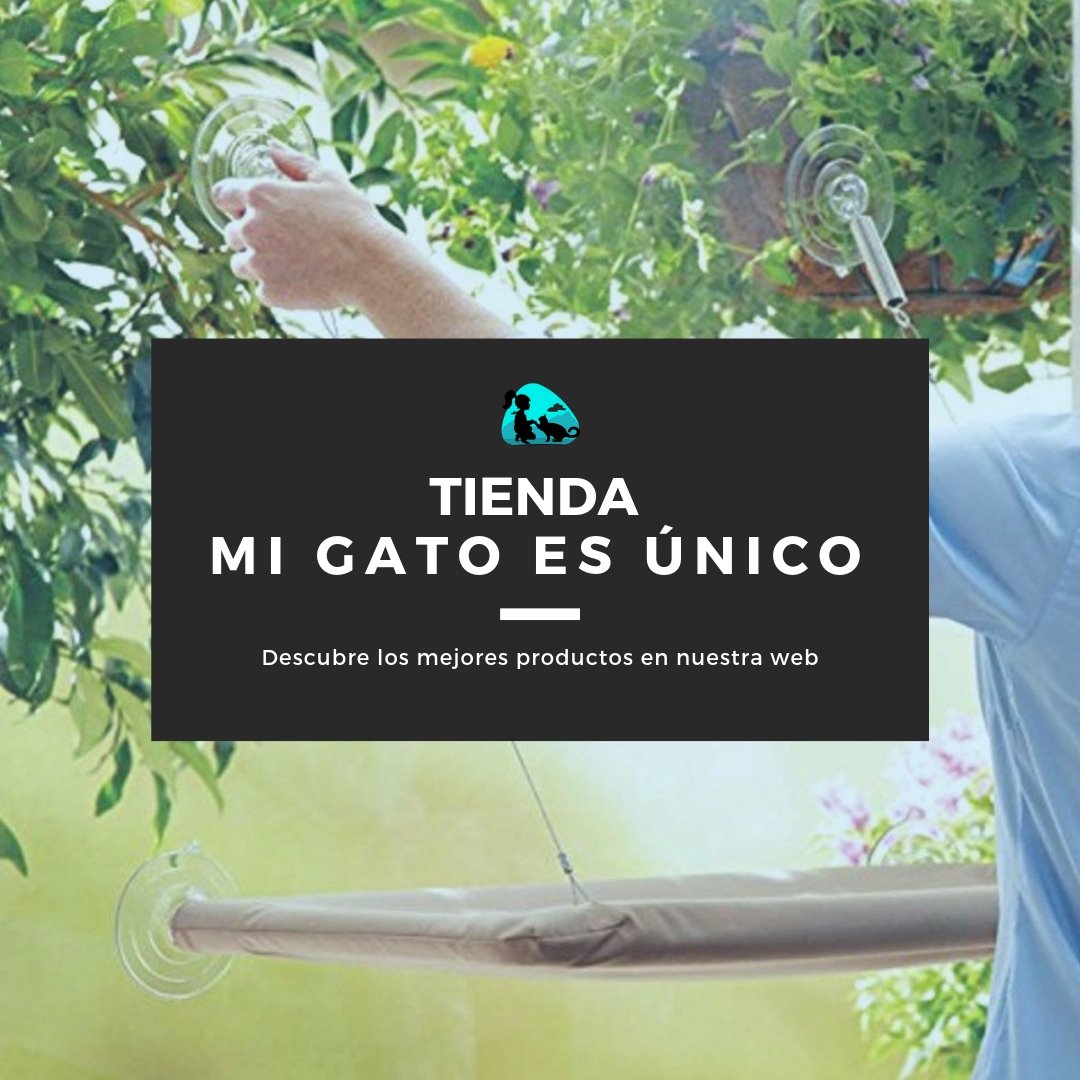 ¿Todavía no has visitado nuestra tienda?

👉 tienda.migatoesunico.com

#migatoesunico #migato #tienda #gato #gatos #productos #hamaca