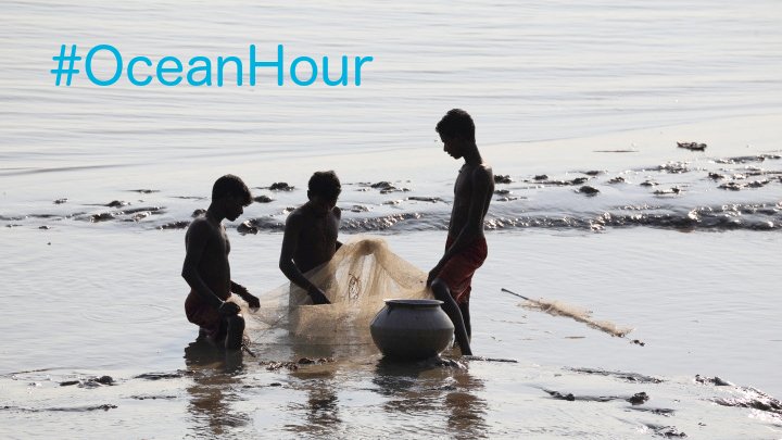 STARTING IN 30 MINUTES: Join us for #OceanHour where we'll be discussing the ocean, the blue economy & fisheries. Get ready to share what you know! Here are the questions we'll be asking --> iied.org/iied-host-seco… #SDG14