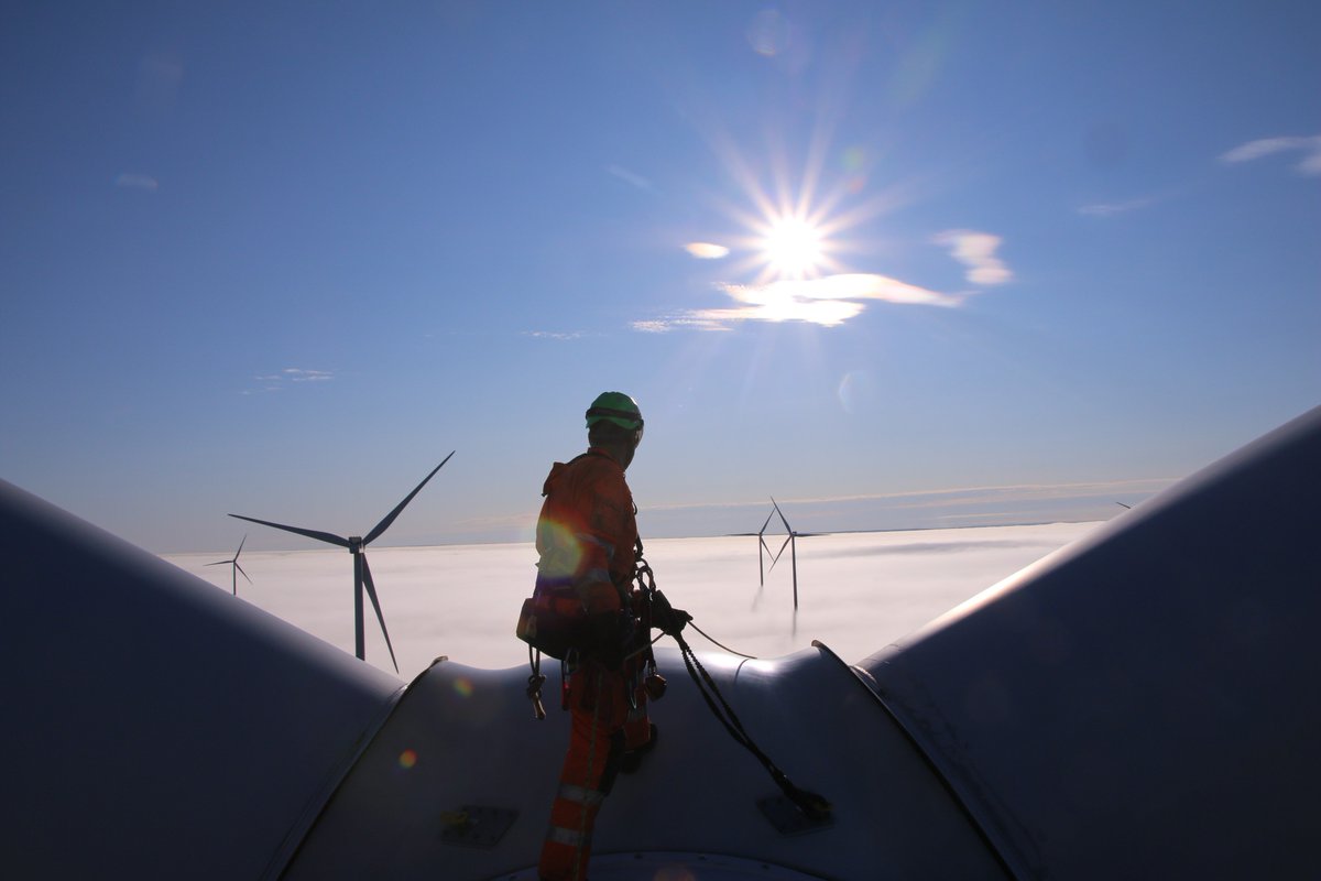 Windpower Monthly tweet media