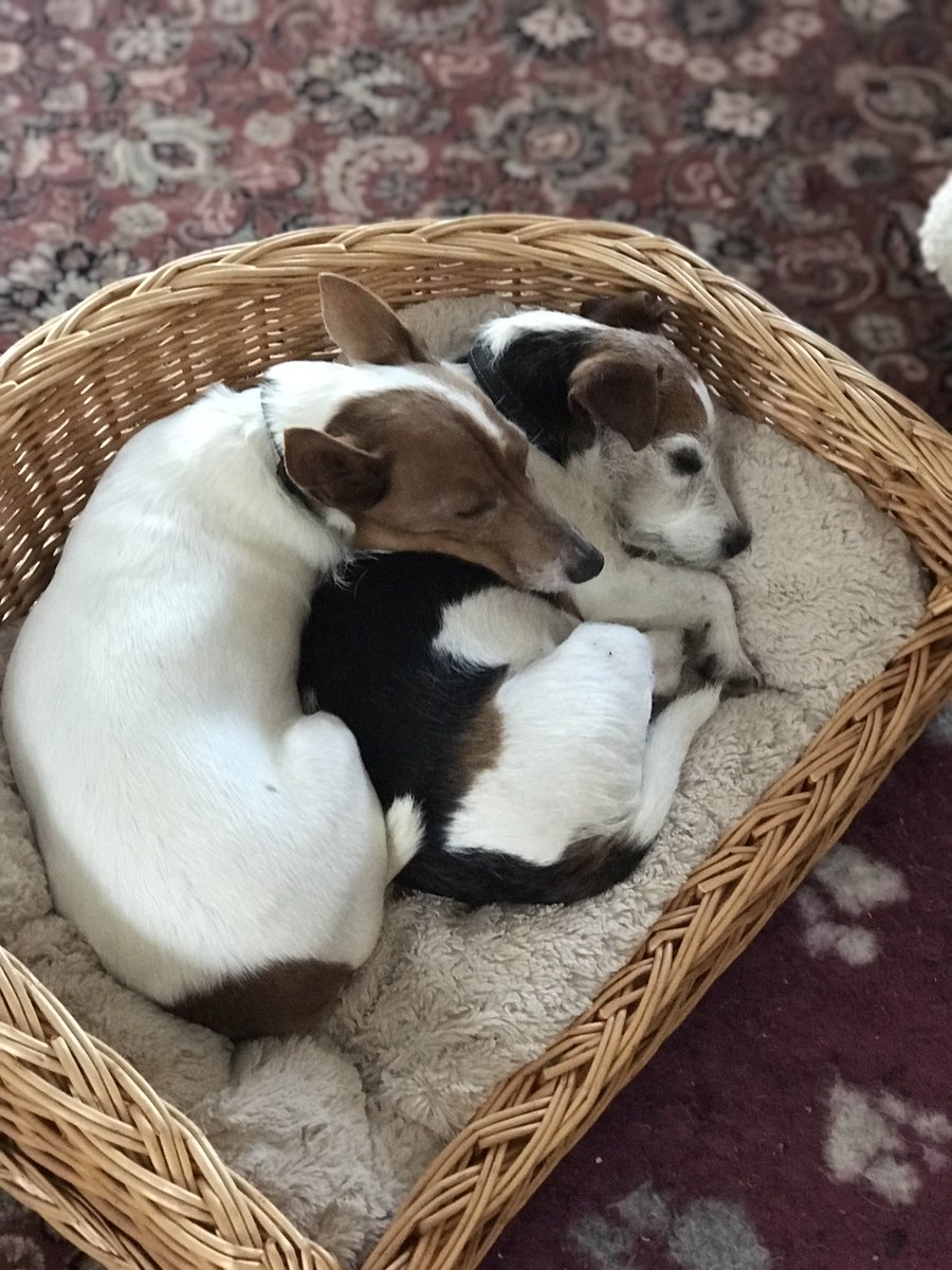 gillyjampots tweet media