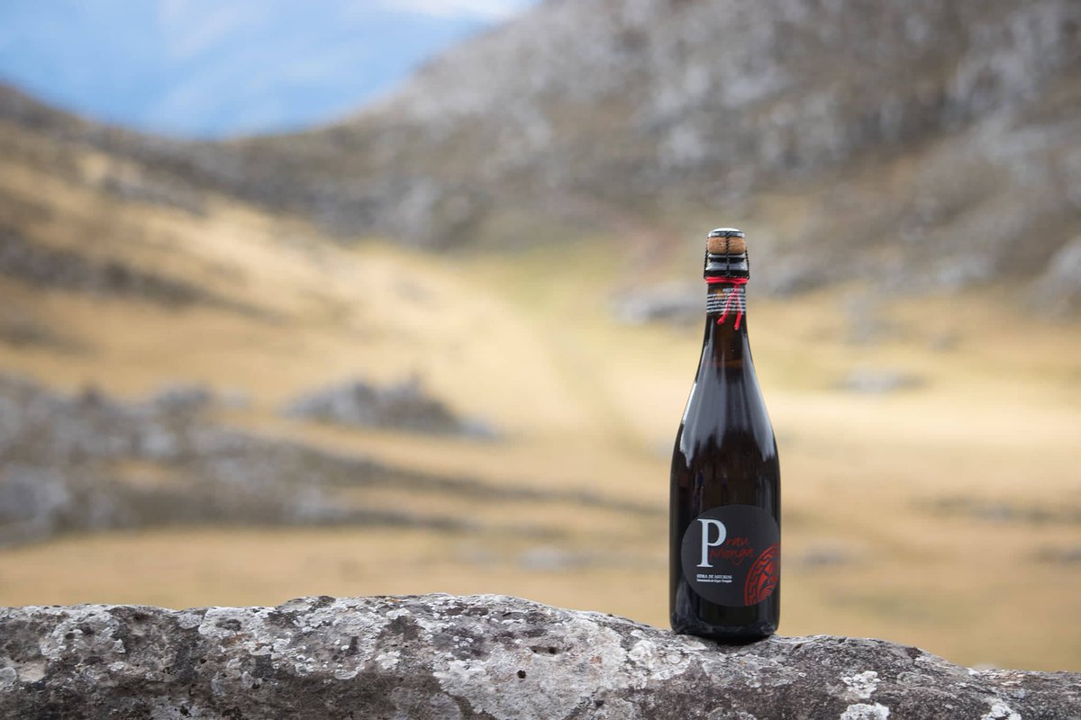 sidraangelon's tweet photo. 4 años de pura artesanía 100% asturiana. Mimo diario para una Sidra Brut Nature Reserva perfecta para acompañar tus comidas y brindar tus momentos espaciales.

Foto de Manuel Intriago. 

#pideunaviuda #pideunadeviuda #sidra #cider #asturiancide  #craftcider #brut #brutnature https://t.co/5upLlIzlIg