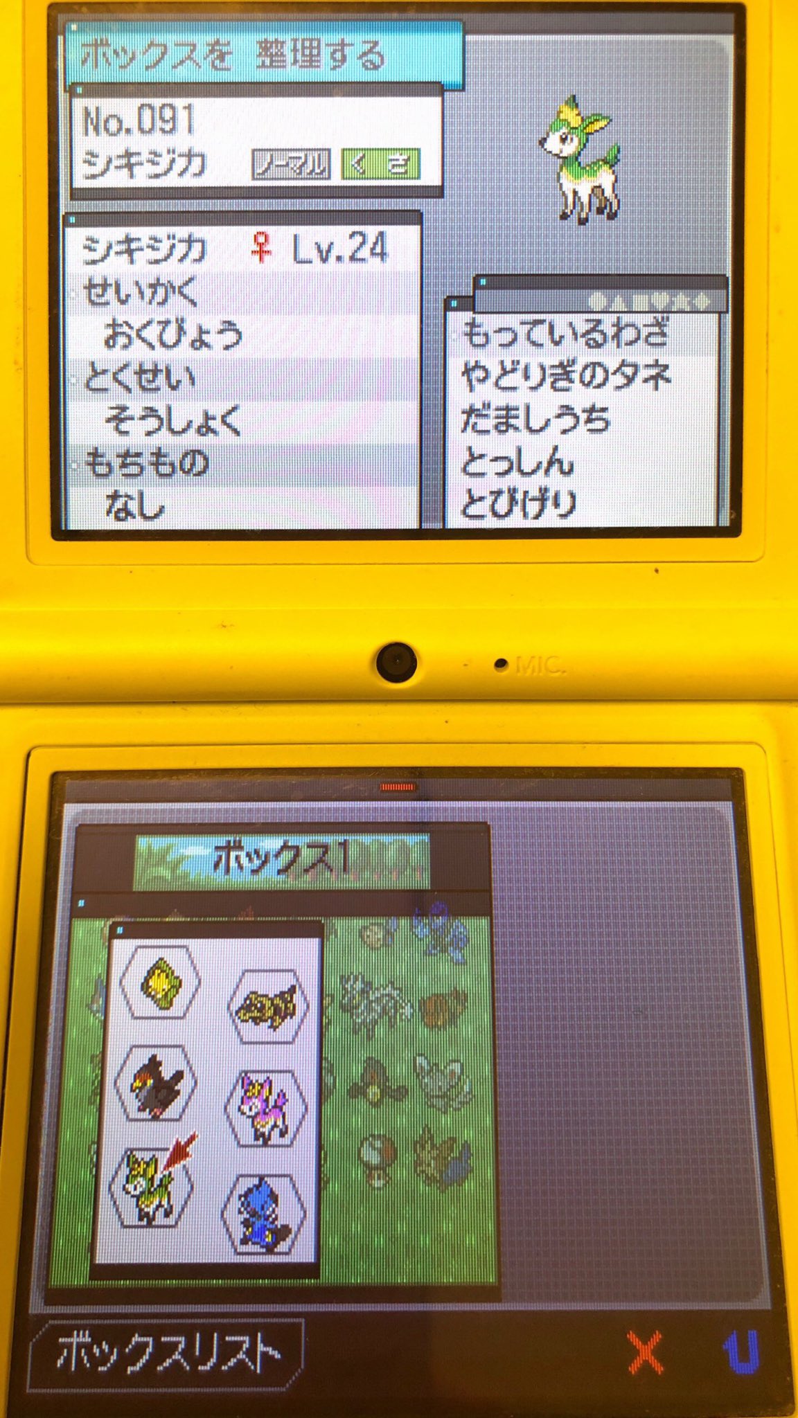 23 電気石の洞穴へ ピクミン マリオ ドラクエ Ff ポケモン日記