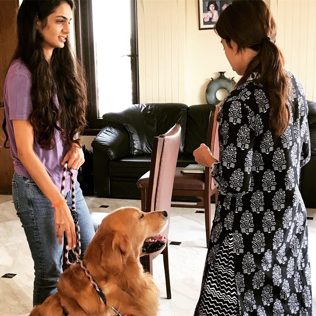 shirindhabhar's tweet photo. As the #CanineTrainerCourse progresses the students are learning how the breed, age & temperament of the dog makes a difference in the training approach. #dogtraining #weimeraner #goldenretriever #dogbreed https://t.co/UC2oVgcmPN