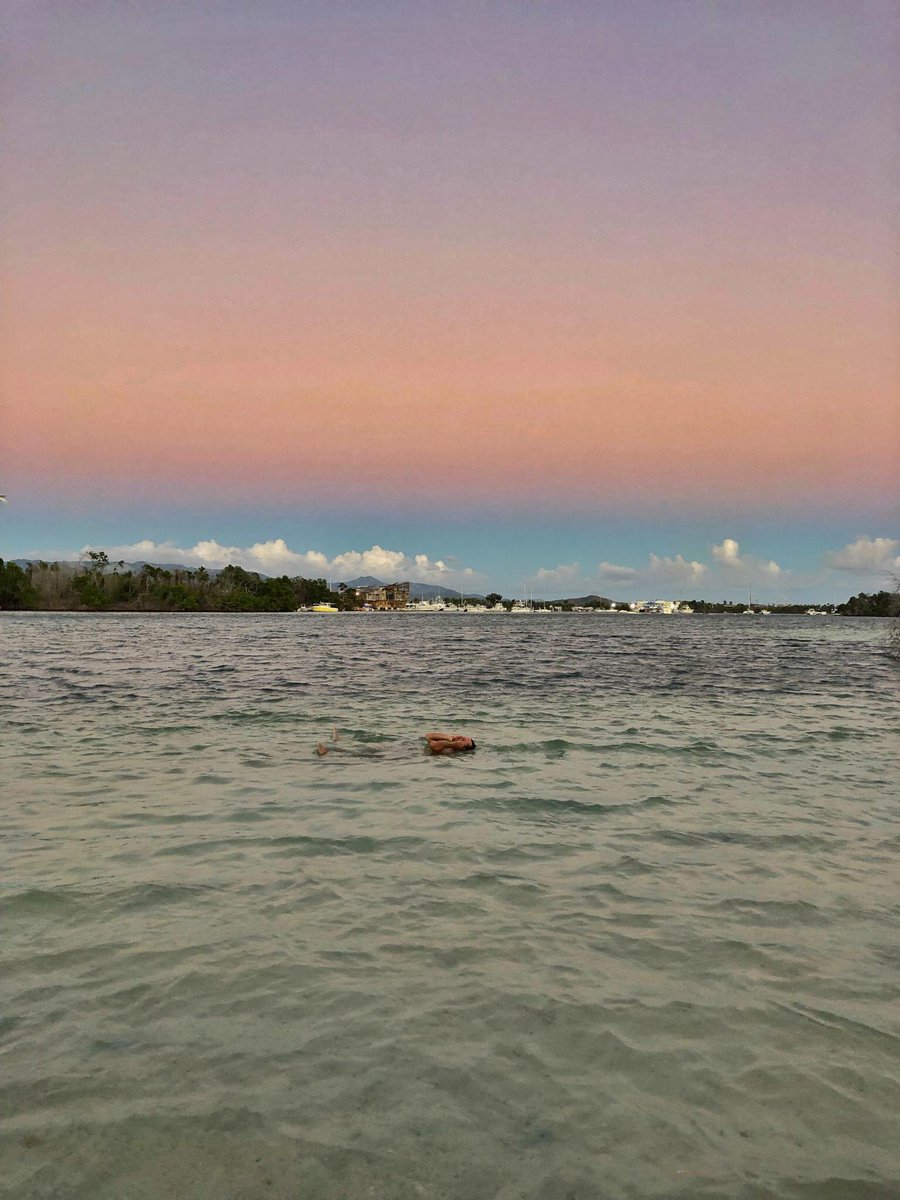 2MonkeysTravel's tweet photo. The sunset view here in Salinas is awesome and the harbour is pretty quiet.. hope we'll start to meet more people to hangout with! @CTPuertoRico @discover_PR #DiscoverPuertoRico #PuertoRico #TwoMonkeysSailing https://t.co/AnNU3YJb3o