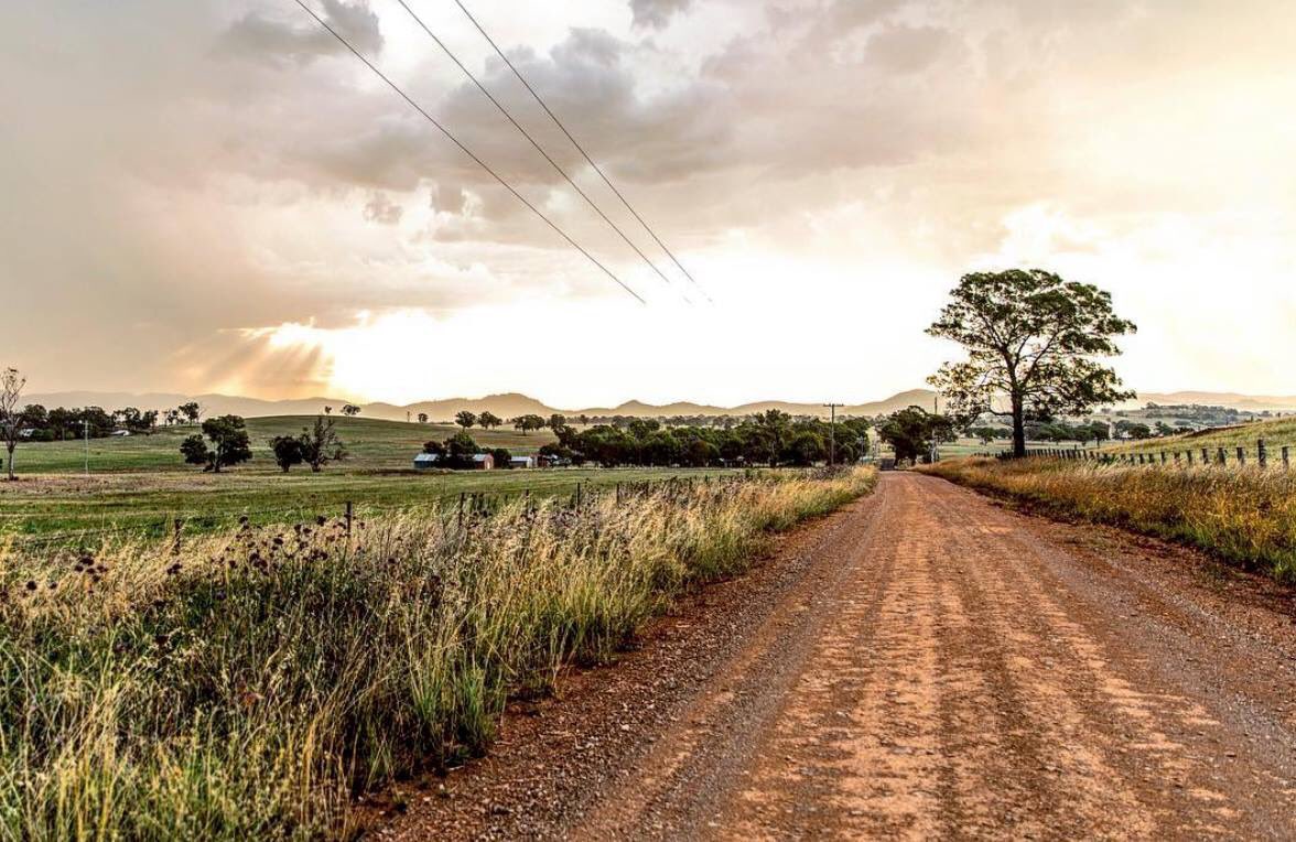 Mudgee Region tweet media