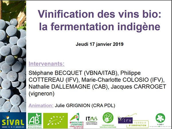 SIVAL_ANGERS's tweet photo. #WineMorning  Bonjour ! 
🍇🍷Vinification des #vins #bio : fermentations indigènes     
[pdf] Les supports de présentation de la conférence #sival19 sont en ligne !
 👉https://t.co/lSCqZjN2xP
 avec @ChambagriPdL @ITABinstitut @vignevinfrance @CAB_BIO_PDL #VBNA https://t.co/P39DIhk9Mt