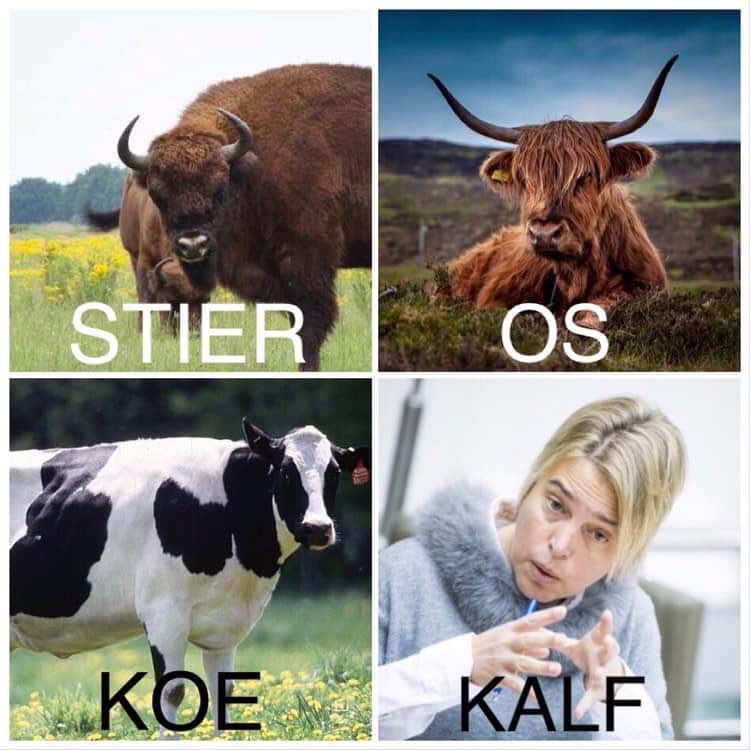 vanbergenmarnix's tweet photo. Is dyslexie van dienst bevolking niet de oorzaak van al deze heisa ?T moest Sgouwliegen zijn ! https://t.co/hU5dBKXkB3