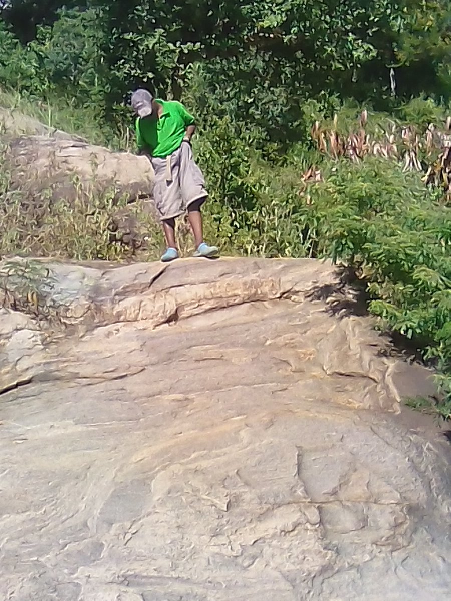 SMadree's tweet image. 