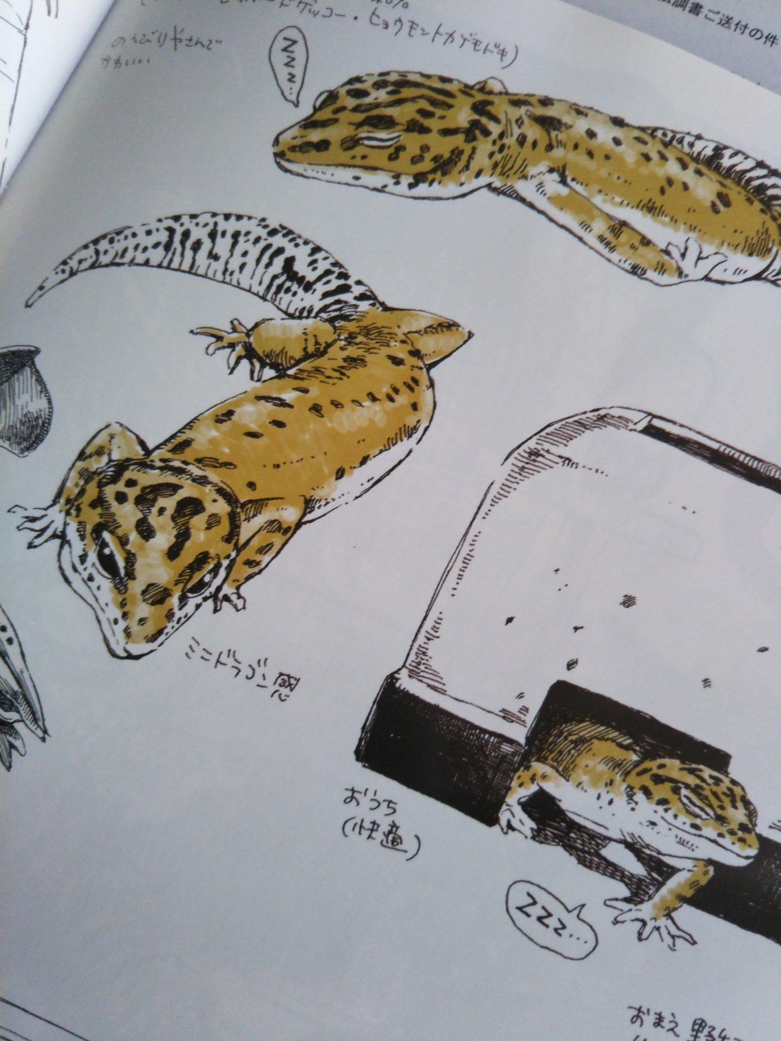 松本ひで吉 とびたハジメさん Kazuholland Drが新刊の新刊のイラスト集を送ってくださった なんとうちのトカゲちゃんも載せてくださってて 愛おしいかわいい ﾝｯﾌｰ