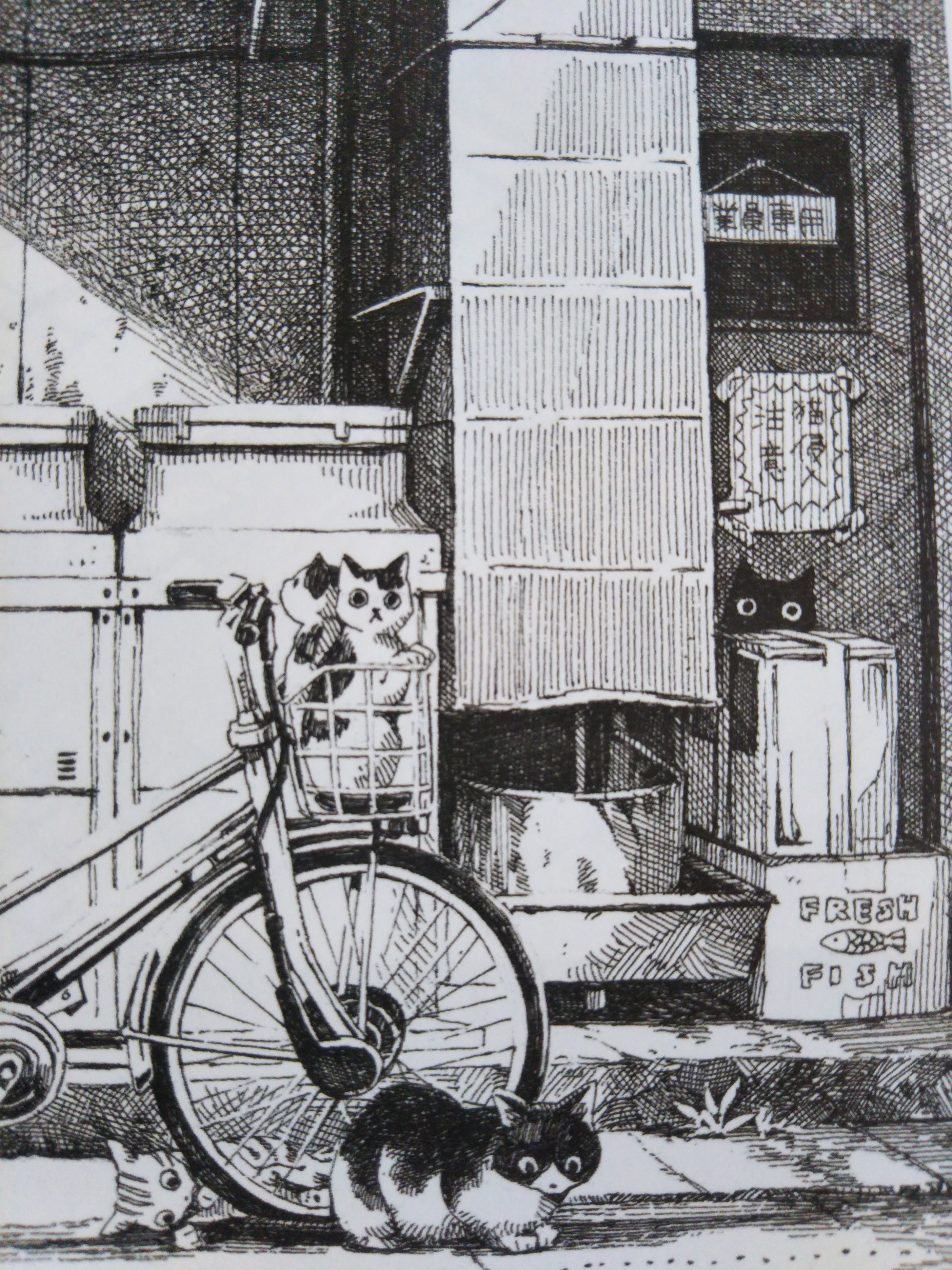 松本ひで吉 とびたハジメさん Kazuholland Drが新刊の新刊のイラスト集を送ってくださった なんとうちのトカゲちゃんも載せてくださってて 愛おしいかわいい ﾝｯﾌｰ T Co Yxuhlohjun Twitter
