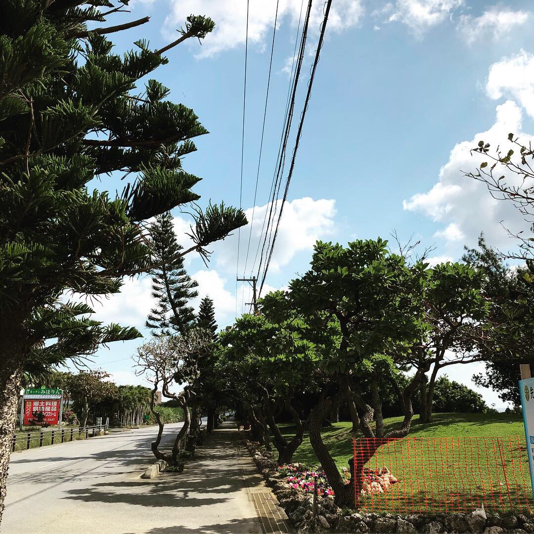 Ruby1314cn's tweet photo. ⛱☀️ https://t.co/lTOZyPL1Ra