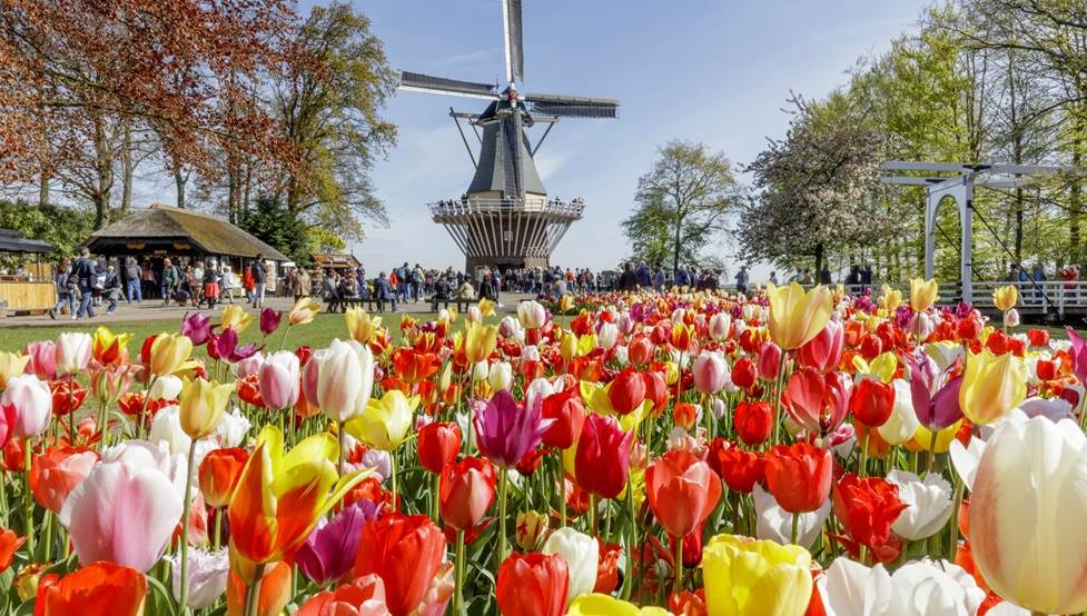 Iamsterdam's tweet photo. 30 things to do in Amsterdam in 2019: https://t.co/0VrtIpDYkq https://t.co/J5XQvHV6iA