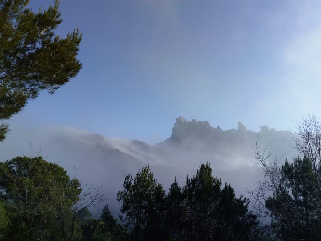 PN Montserrat tweet media