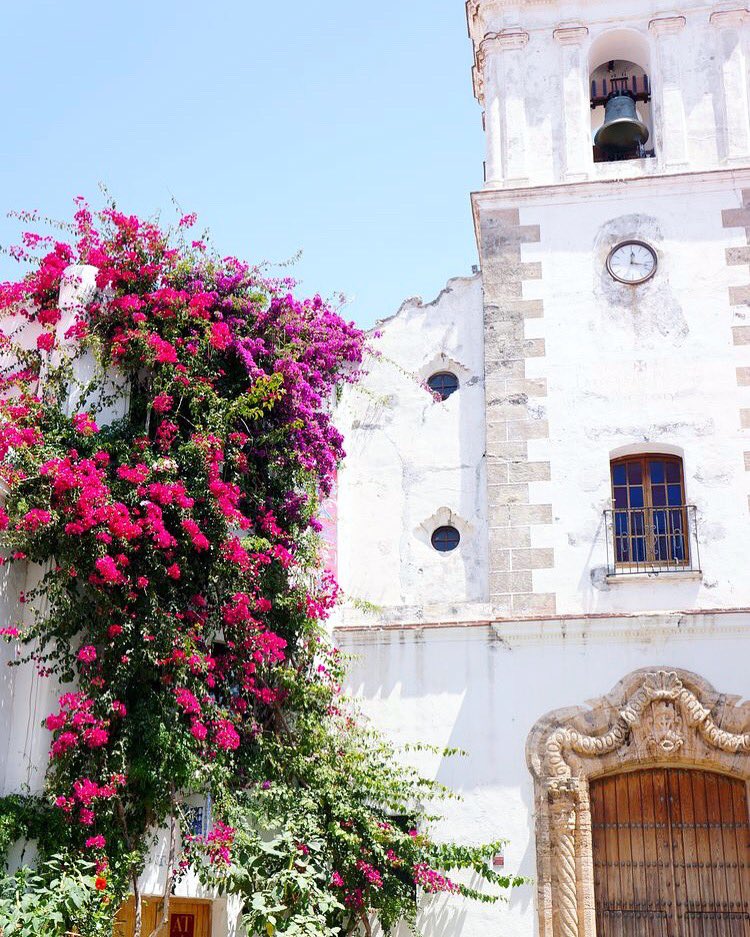 Alltarifa1's tweet photo. GOOD MORNING FROM TARIFA☀️⛪️🌺 #inmobiliaria #iglesia #turismo #cultura #calle #puebloblanco #morning #travel #tarifa #alltarifa https://t.co/HnXHoAEwBU