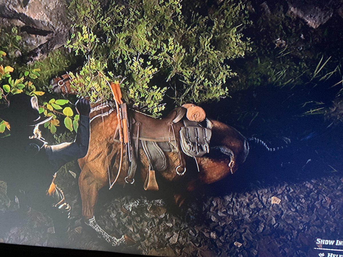 VincentRenard44's tweet photo. RIP Helen.
you’ve been with me from the start, i braided your mane myself, we achieved max bonding level, and rode for over 30hours together. ill never forget u my dear sweet angel of a horse. #RIPHelen #RedDeadII https://t.co/u2awCJCXXE