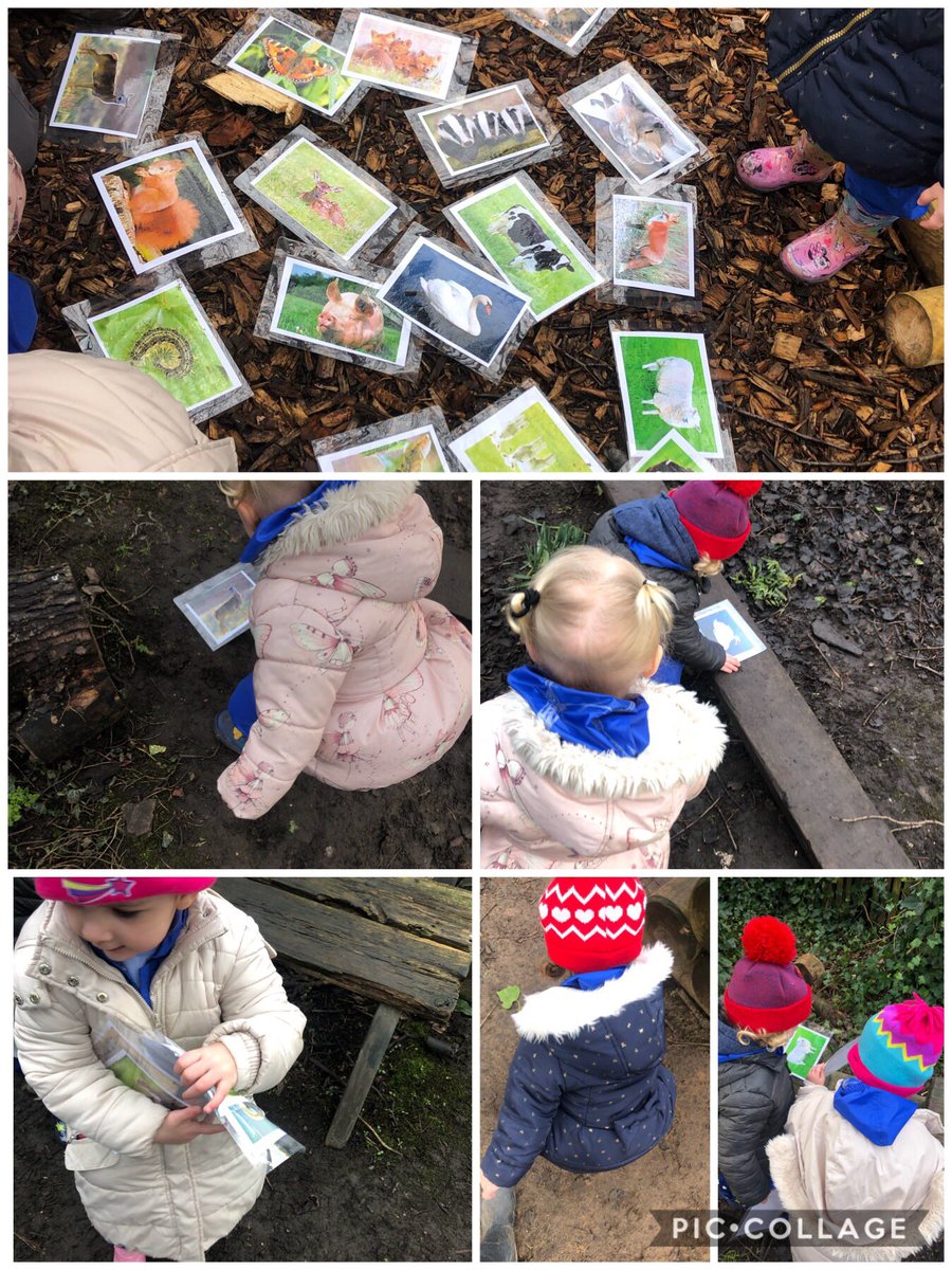 MissNesbitREMAT's tweet photo. This morning at forest school we found pictures of all different lost animals and matched them to their mummy. We also had lots of fun digging and exploring! @GarstonCE @Lancswildlife @rachelDean88 https://t.co/iIfpmPasT0