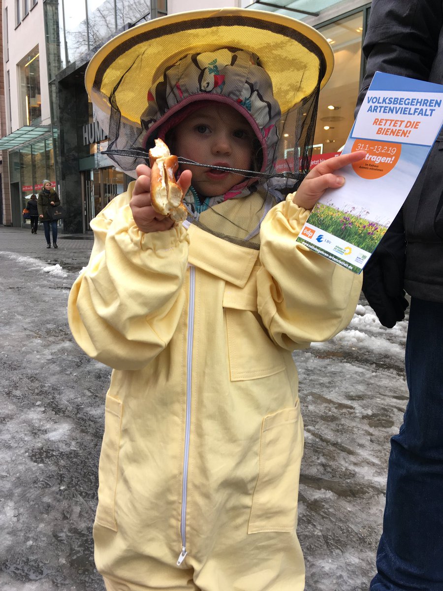 Die kleinste Bienenhüterin ist als Rathauslotsin fleißig für das Volksbegehren unterwegs. Jetzt eintragen! #RettetdieBienen #Volksbegehren