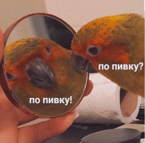 DytepOXX0AYbT6F?format=jpg&name=small