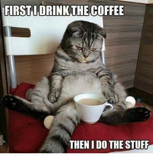 byMorganWright's tweet photo. #Coffee... the official fuel for writers😂

#WednesdayMotivation  #writerslife https://t.co/iODzollVRn