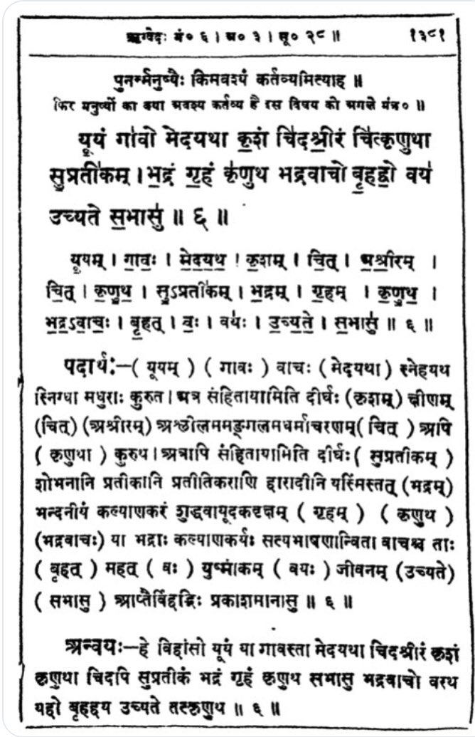 19/n 5. Cow brings prosperity and strength6. If cows keep healthy and happy, men and women shall also keep disease free and prosperous7. May the cow eat green grass and pure water. May they not be killed and bring prosperity to us.